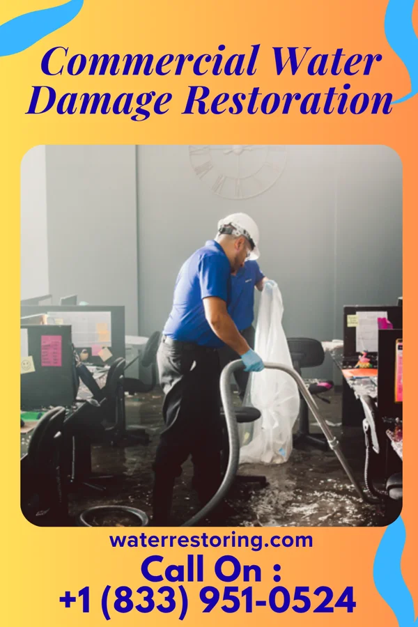 Commercial Water Damage Restoration in Seagoville, TX