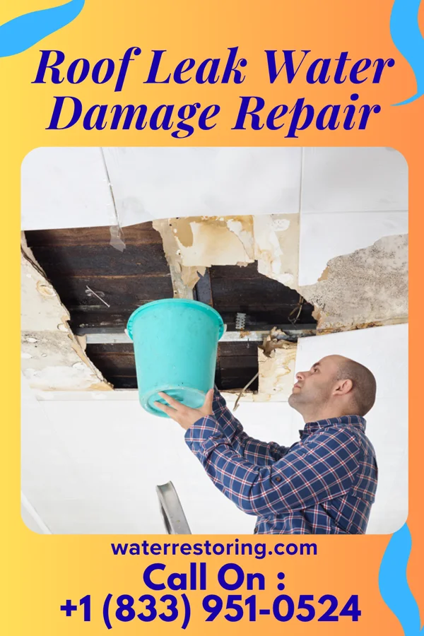 Roof Leak Water Damage Repair in Seagoville, TX