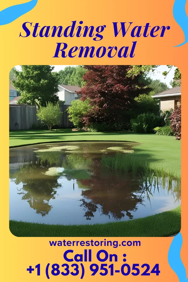 Standing Water Removal in Seagoville, TX